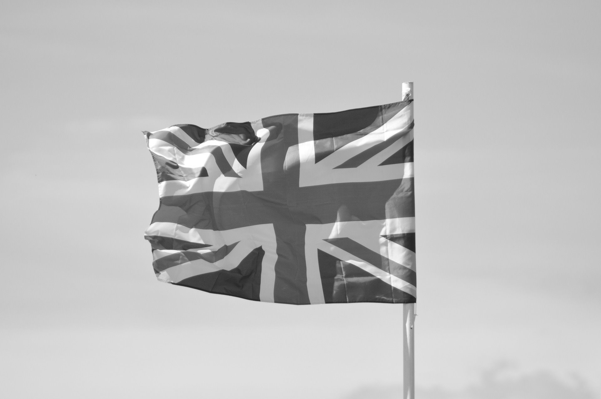 Market Insight September 2024: Flying The Flag